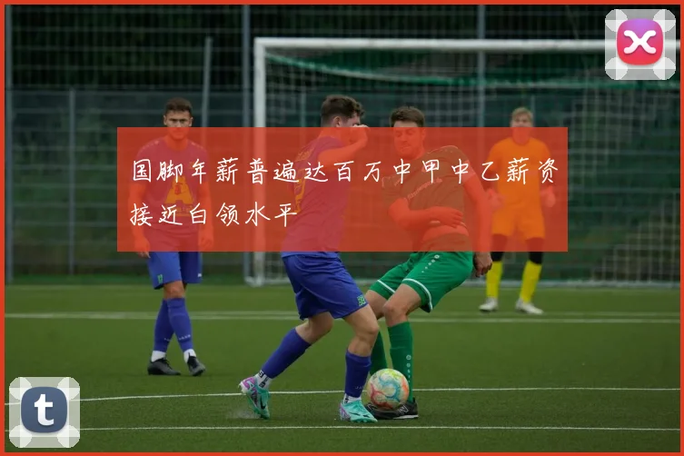 国脚年薪普遍达百万中甲中乙薪资接近白领水平