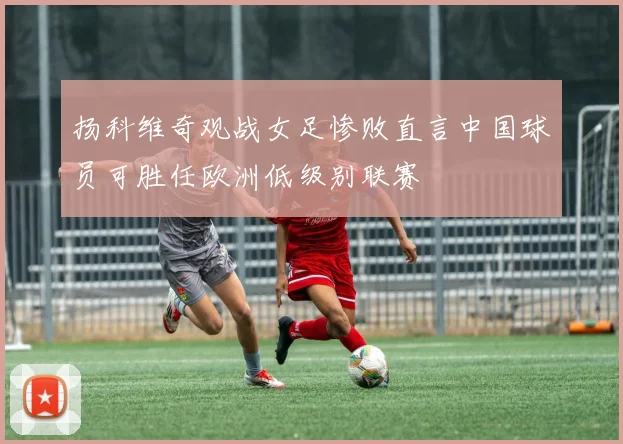 扬科维奇观战女足惨败直言中国球员可胜任欧洲低级别联赛
